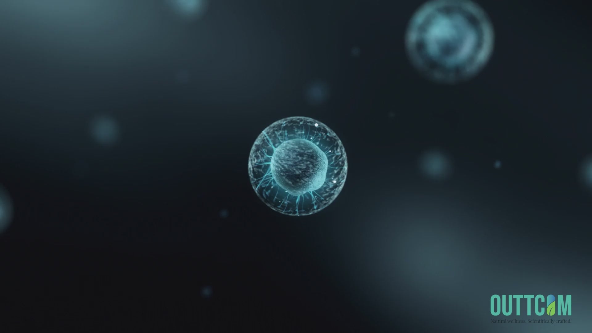 Video about NAD+1080 supplement